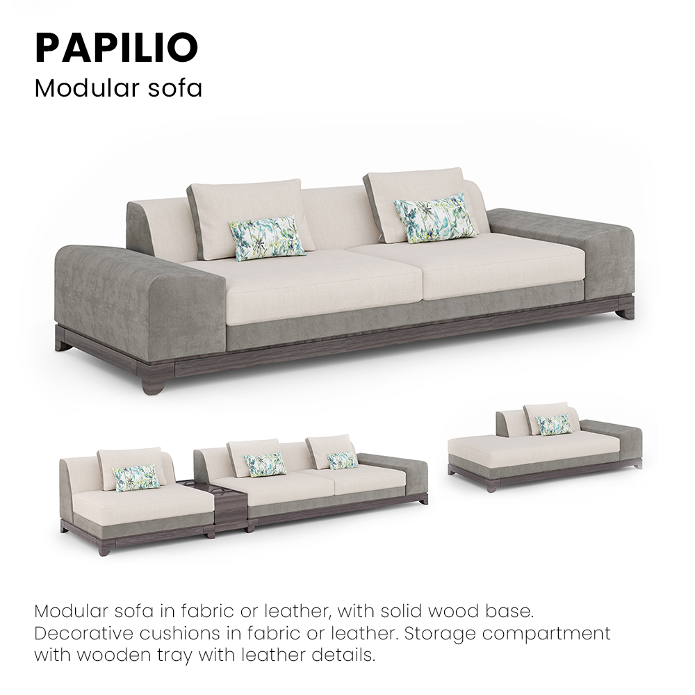 Papilio_divano01